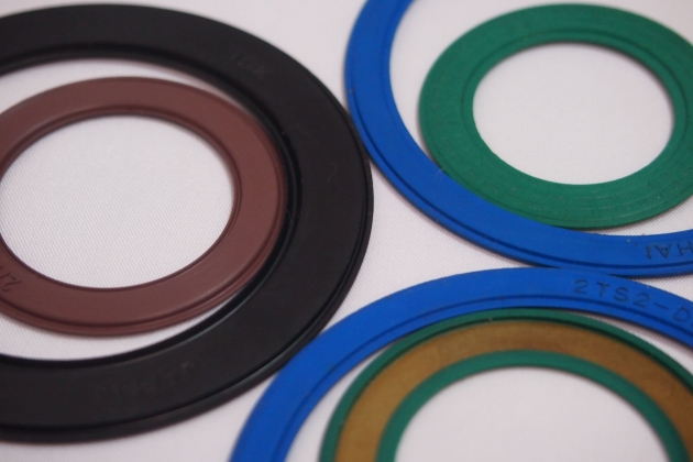 Bearing Seals 1