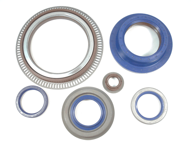 Oil Seals For Truck And Bus 2