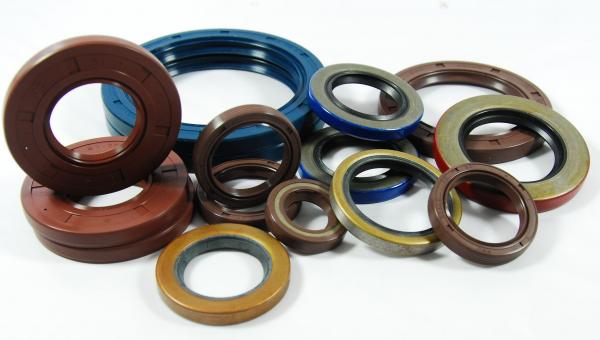 Oil Seals