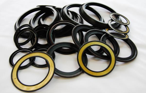 Bearing Seals